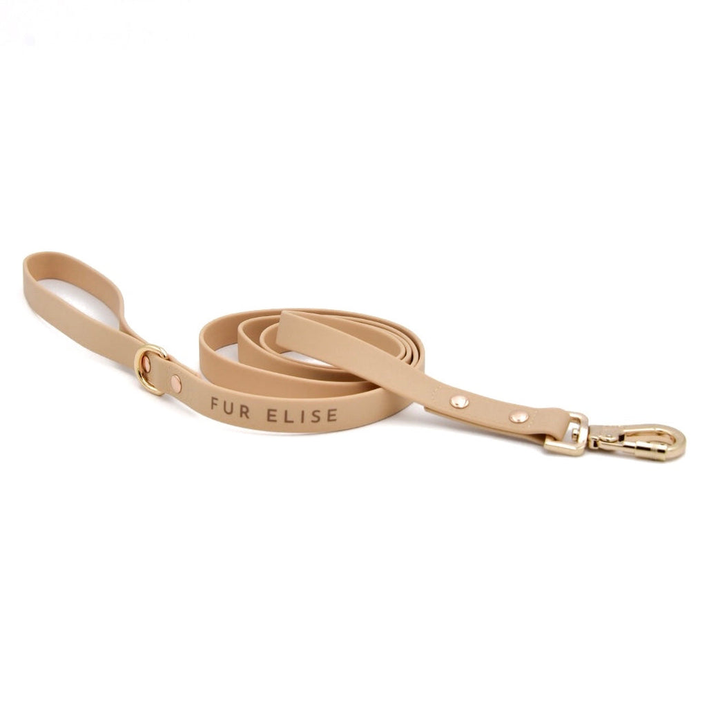 {{product_title}} - Cookies Wagging Friends Boutique