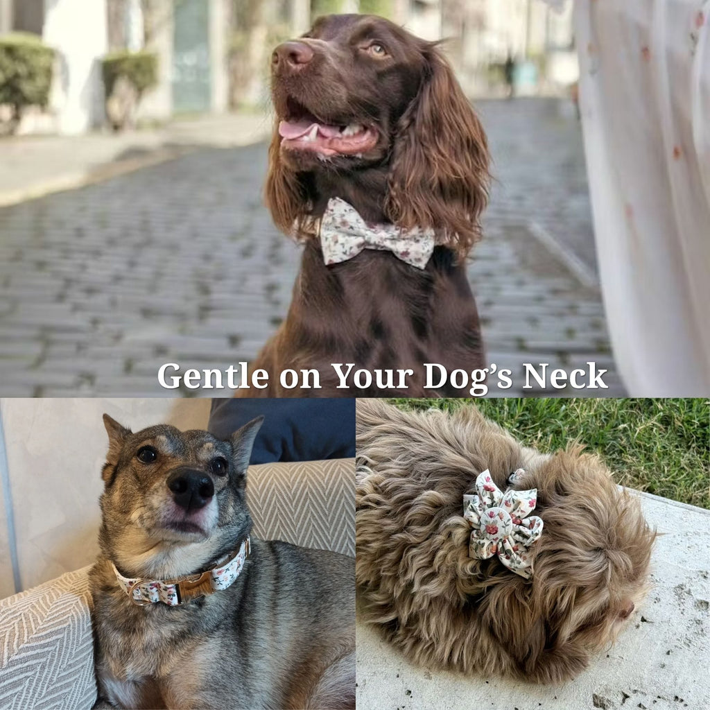 {{product_title}} - Cookies Wagging Friends Boutique