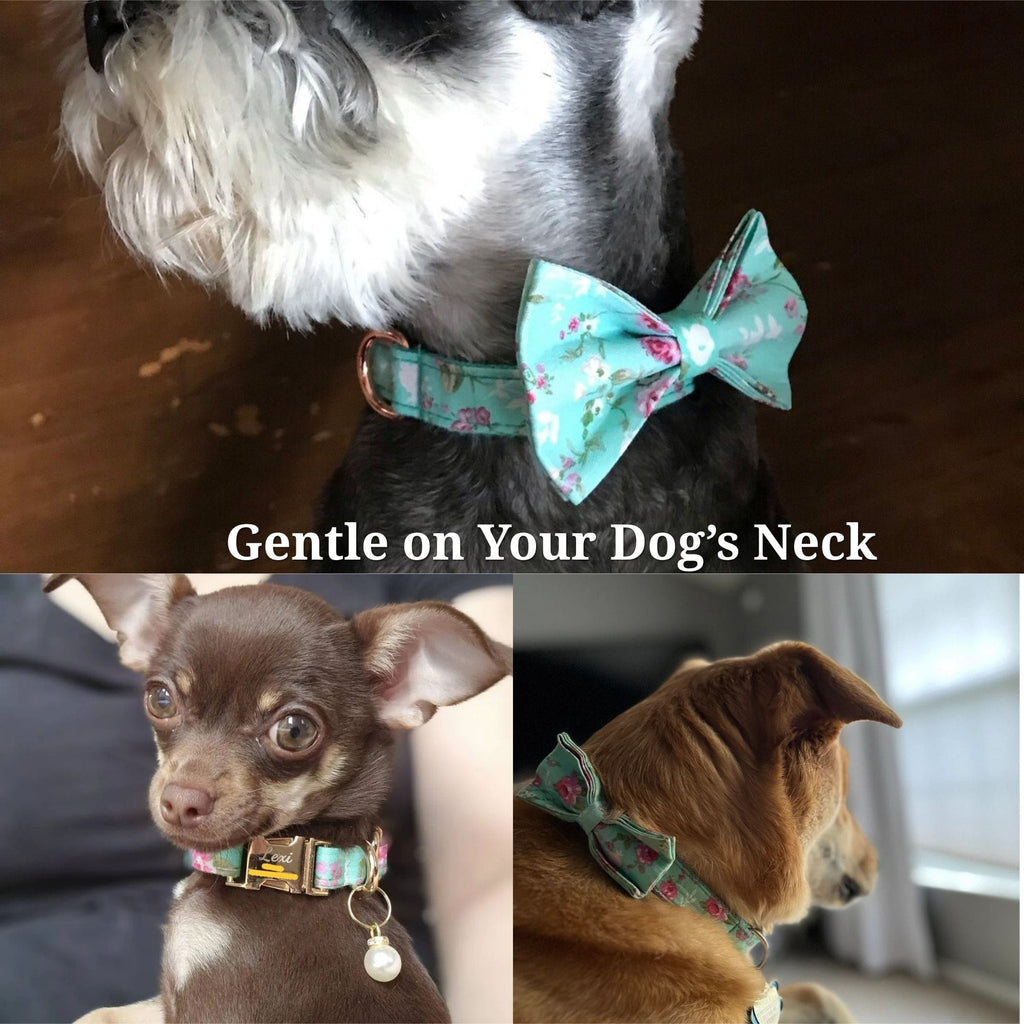 {{product_title}} - Cookies Wagging Friends Boutique