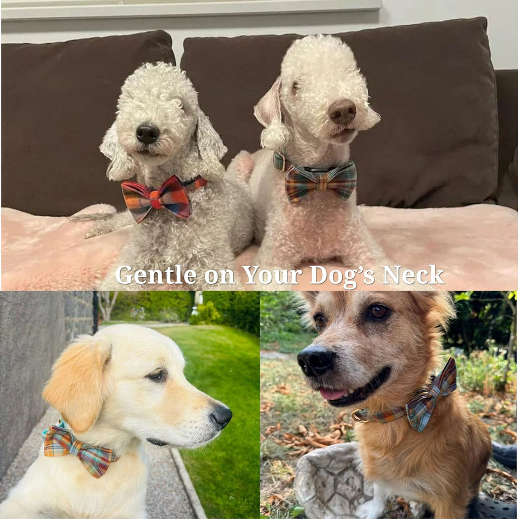 {{product_title}} - Cookies Wagging Friends Boutique