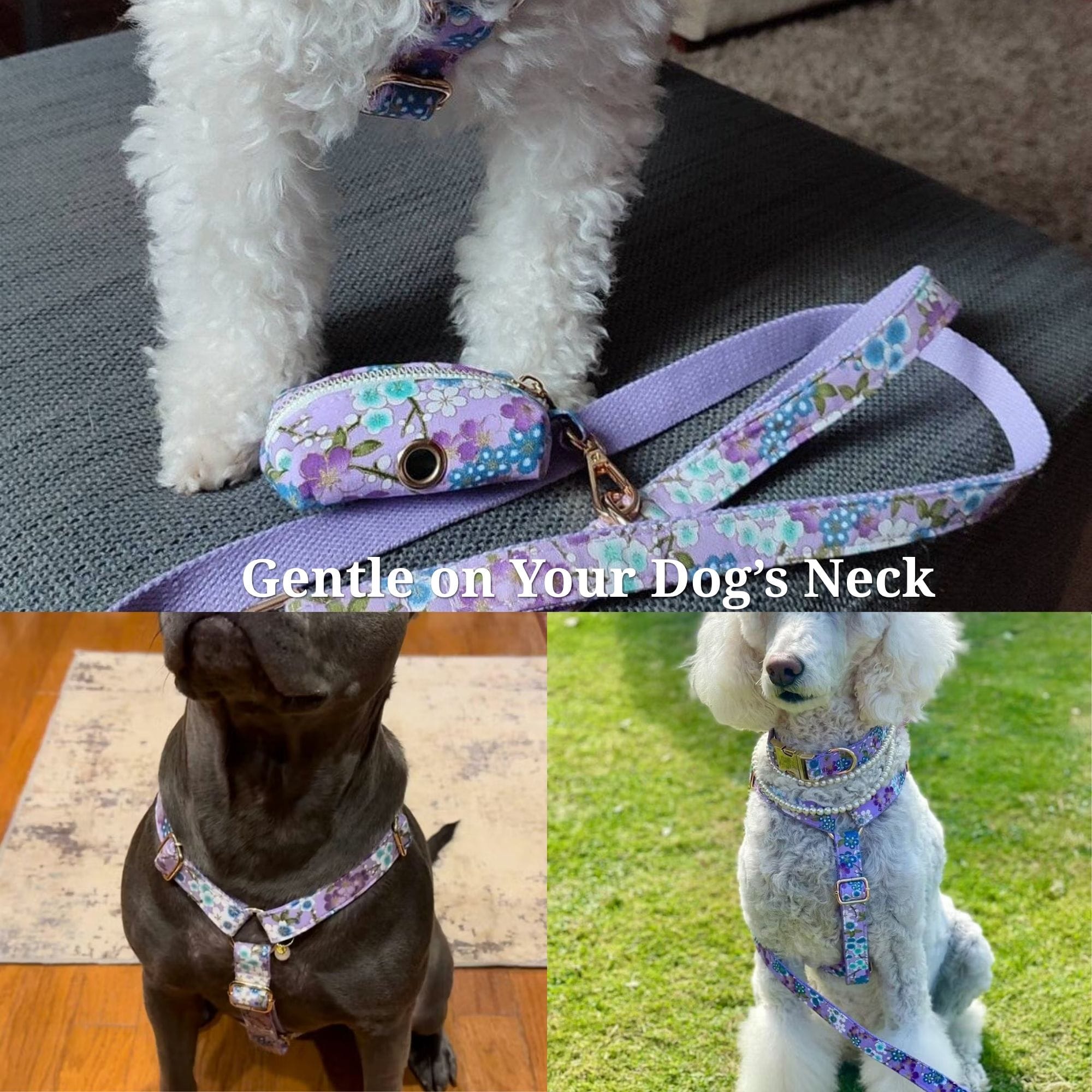{{product_title}} - Cookies Wagging Friends Boutique