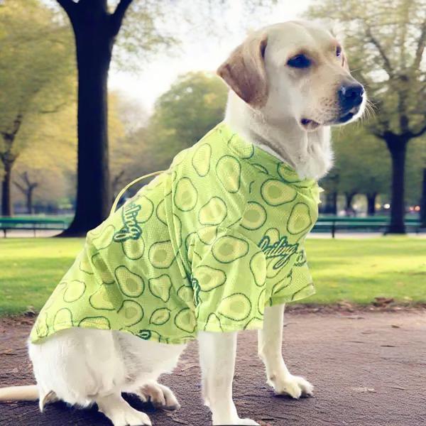 {{product_title}} - Cookies Wagging Friends Boutique