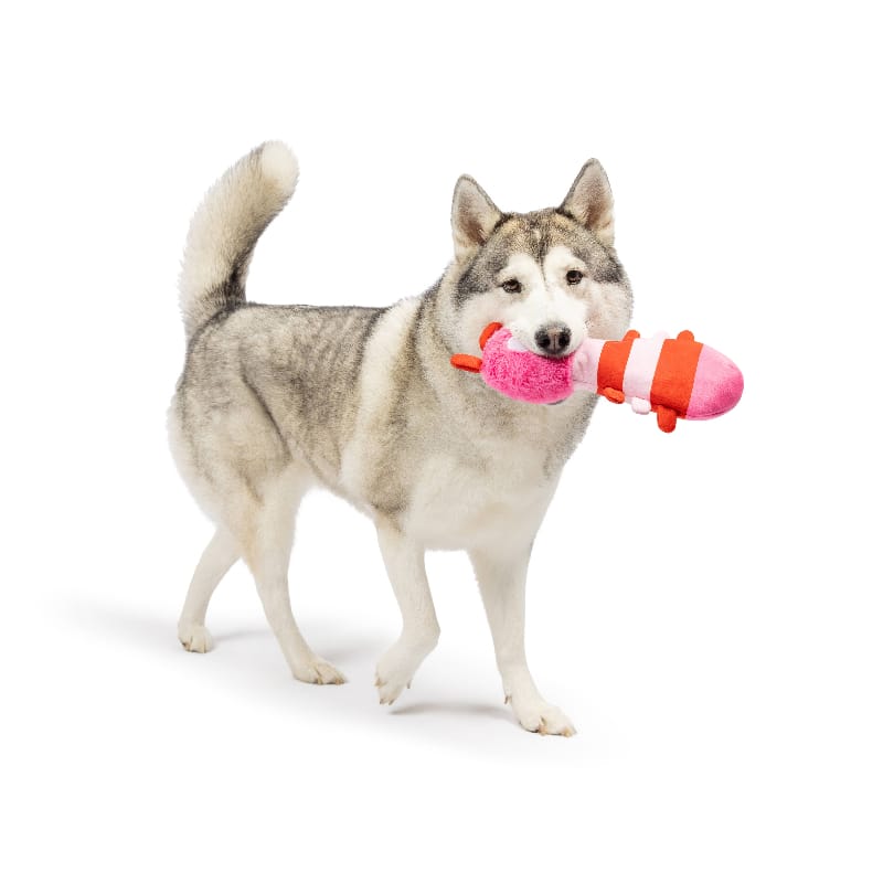 {{product_title}} - Cookies Wagging Friends Boutique