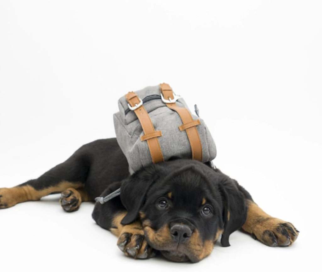 {{product_title}} - Cookies Wagging Friends Boutique