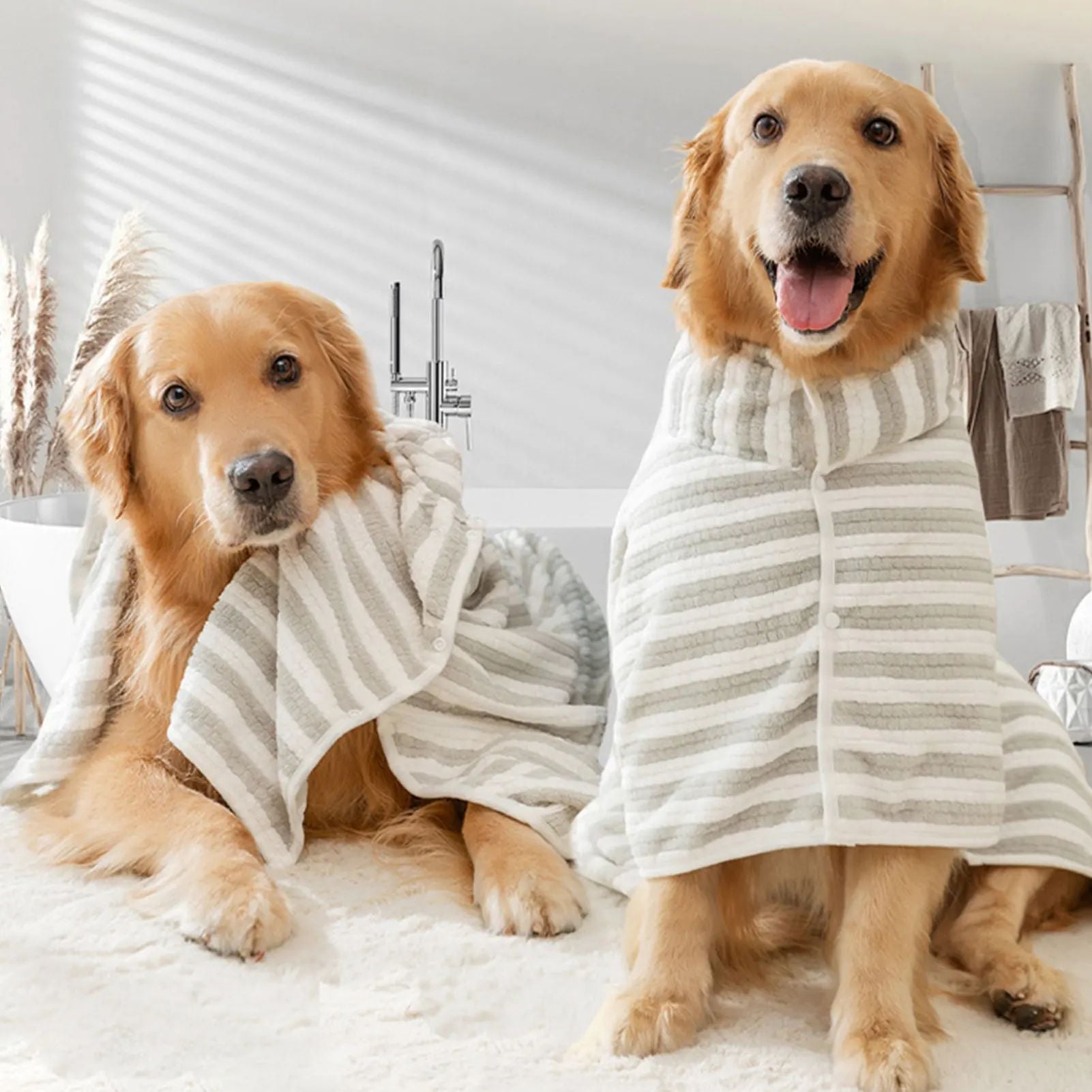 {{product_title}} - Cookies Wagging Friends Boutique