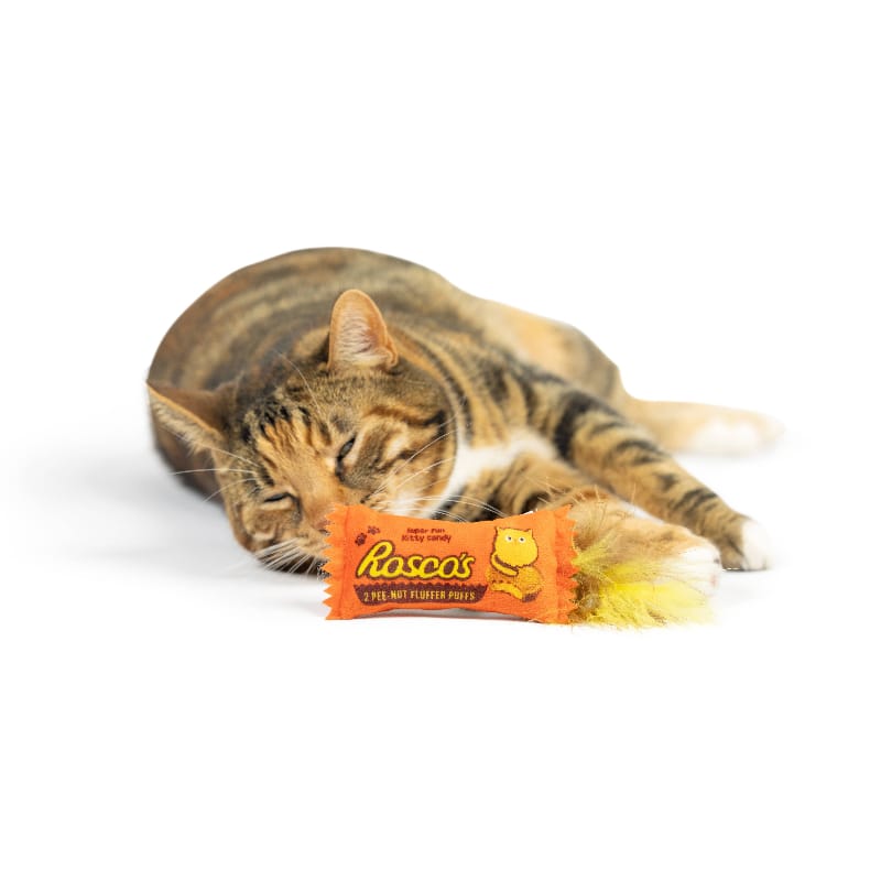 {{product_title}} - Cookies Wagging Friends Boutique