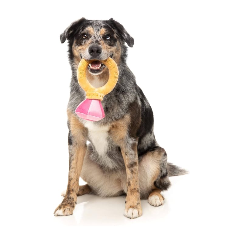 {{product_title}} - Cookies Wagging Friends Boutique