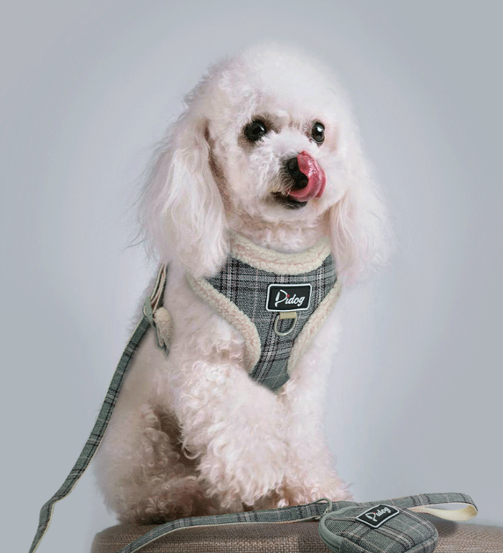 {{product_title}} - Cookies Wagging Friends Boutique
