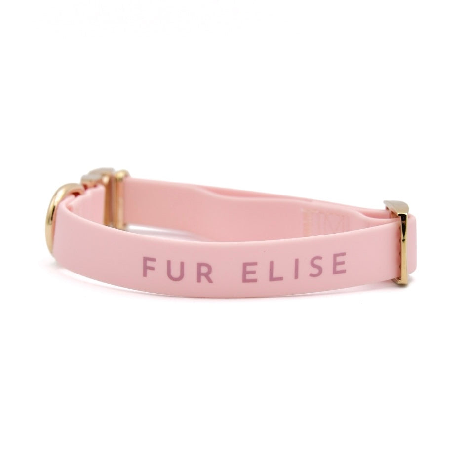 {{product_title}} - Cookies Wagging Friends Boutique