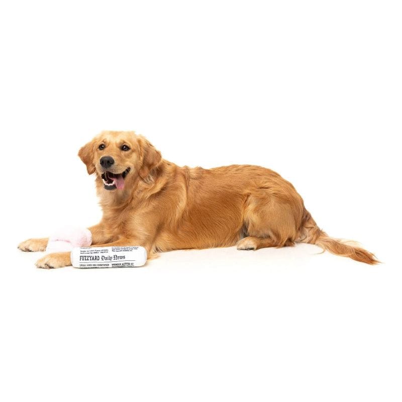 {{product_title}} - Cookies Wagging Friends Boutique