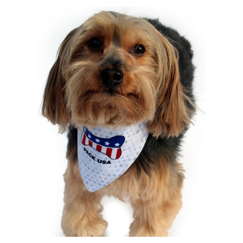 {{product_title}} - Cookies Wagging Friends Boutique