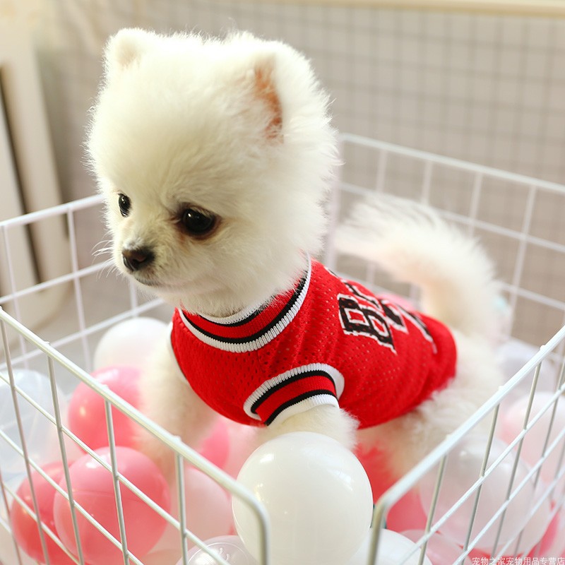 {{product_title}} - Cookies Wagging Friends Boutique