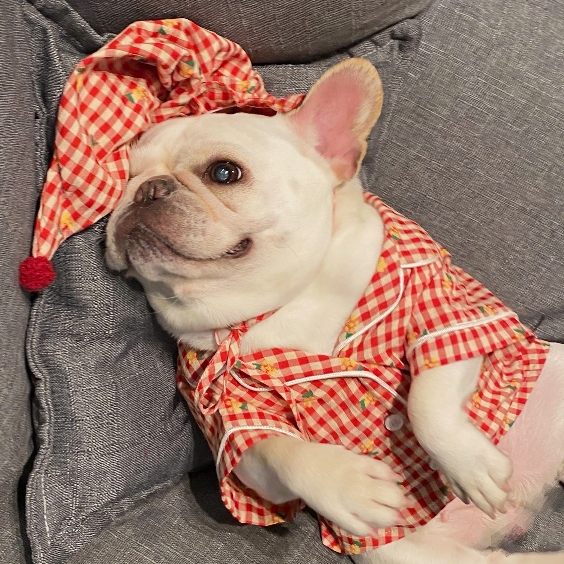 {{product_title}} - Cookies Wagging Friends Boutique