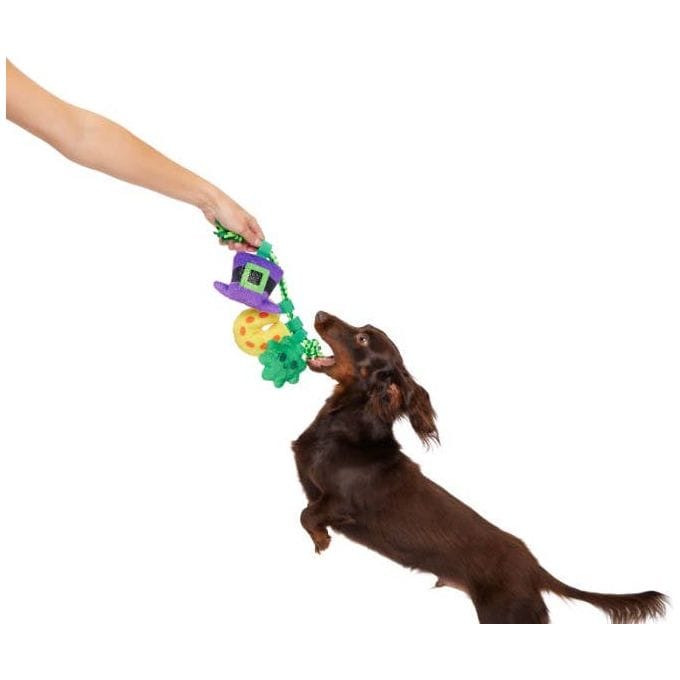 {{product_title}} - Cookies Wagging Friends Boutique