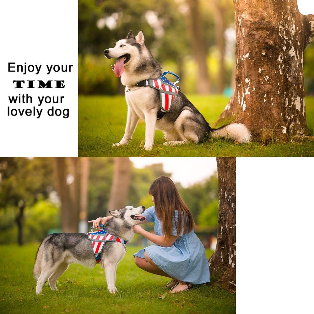 {{product_title}} - Cookies Wagging Friends Boutique