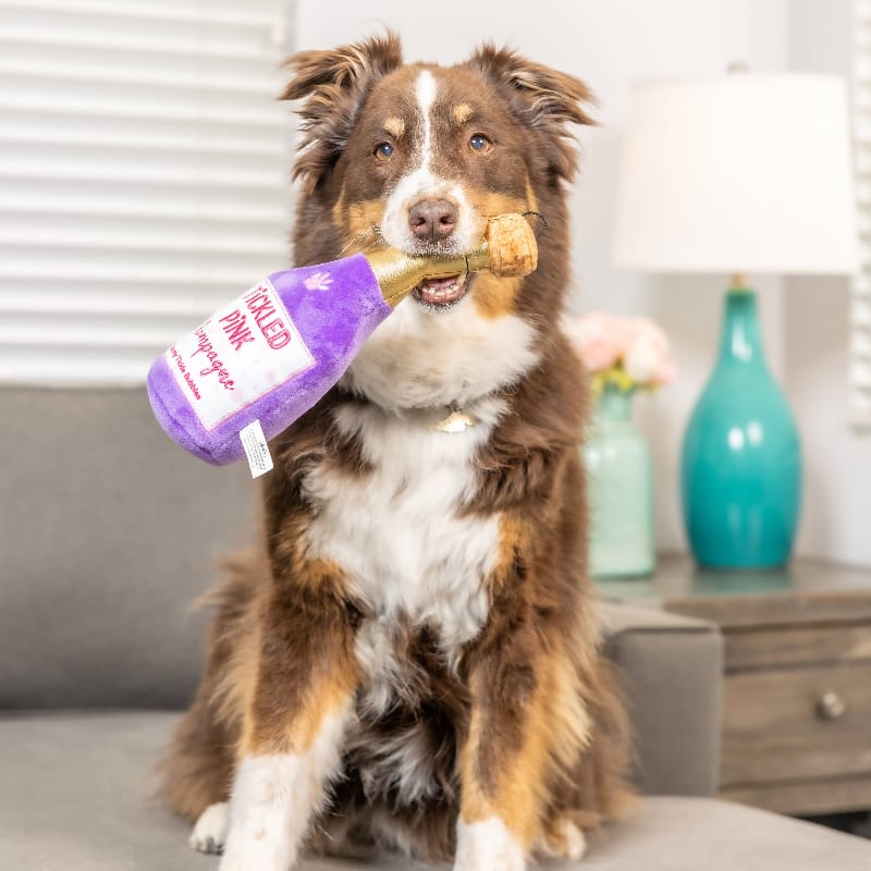 {{product_title}} - Cookies Wagging Friends Boutique