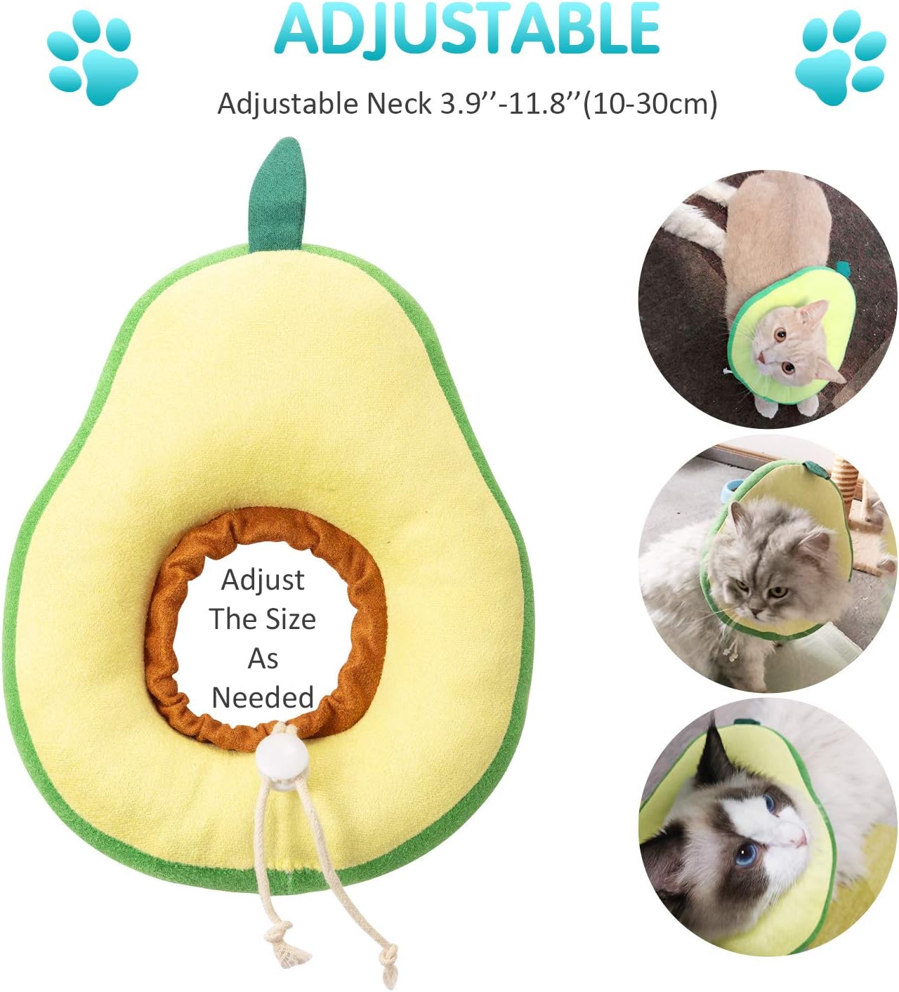 {{product_title}} - Cookies Wagging Friends Boutique