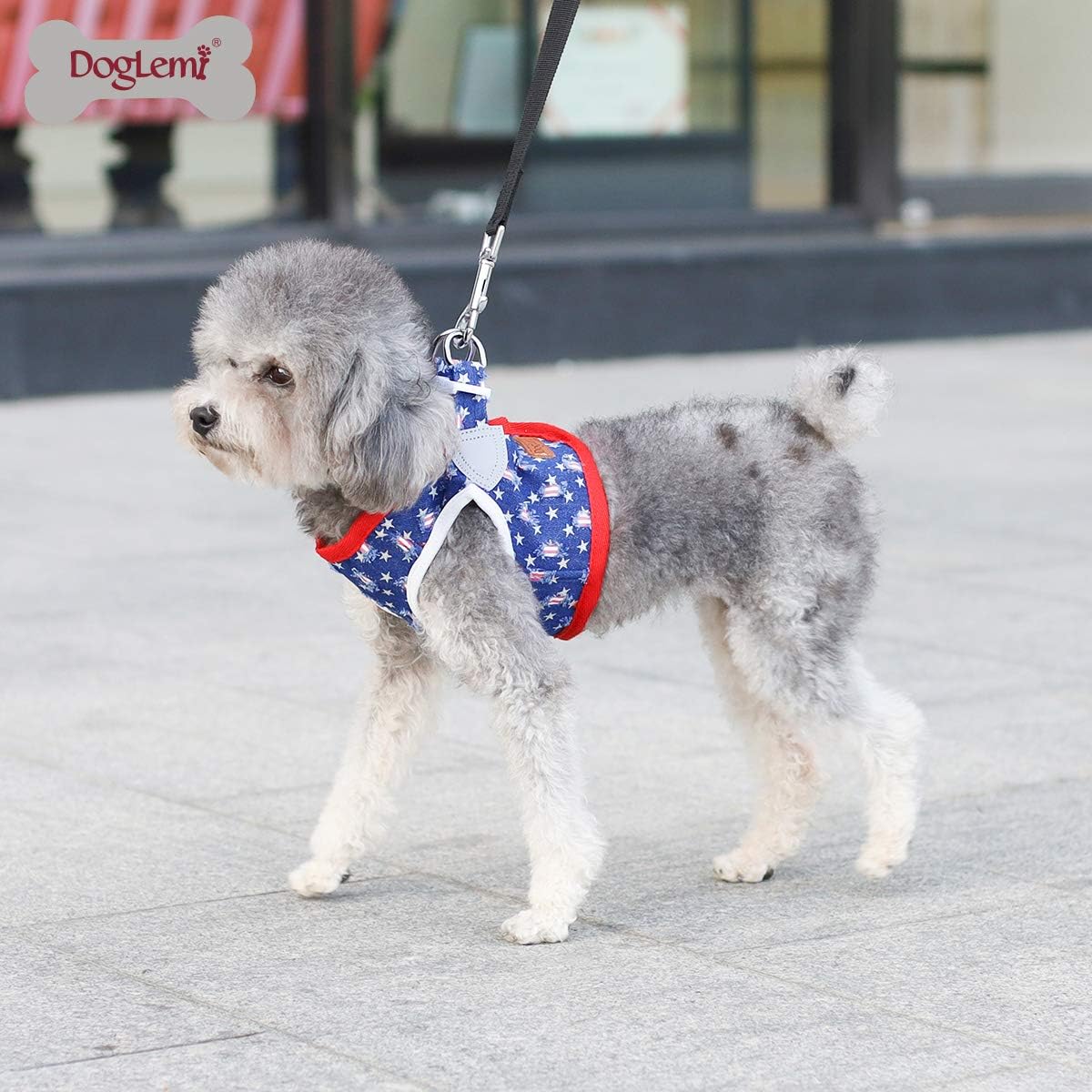 {{product_title}} - Cookies Wagging Friends Boutique