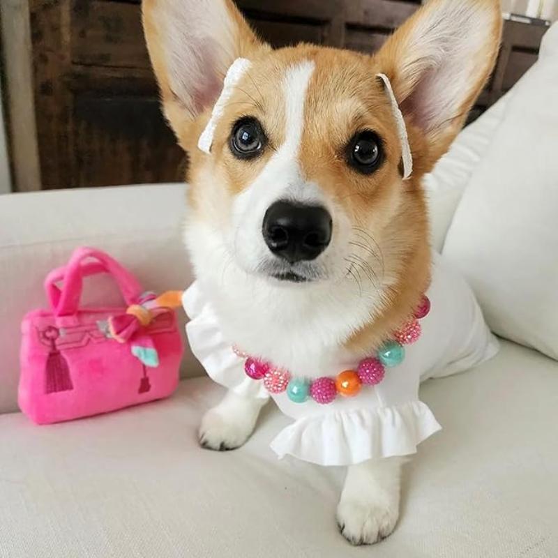 {{product_title}} - Cookies Wagging Friends Boutique