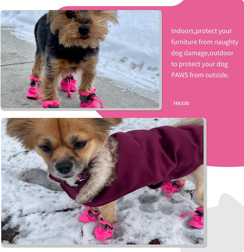 {{product_title}} - Cookies Wagging Friends Boutique