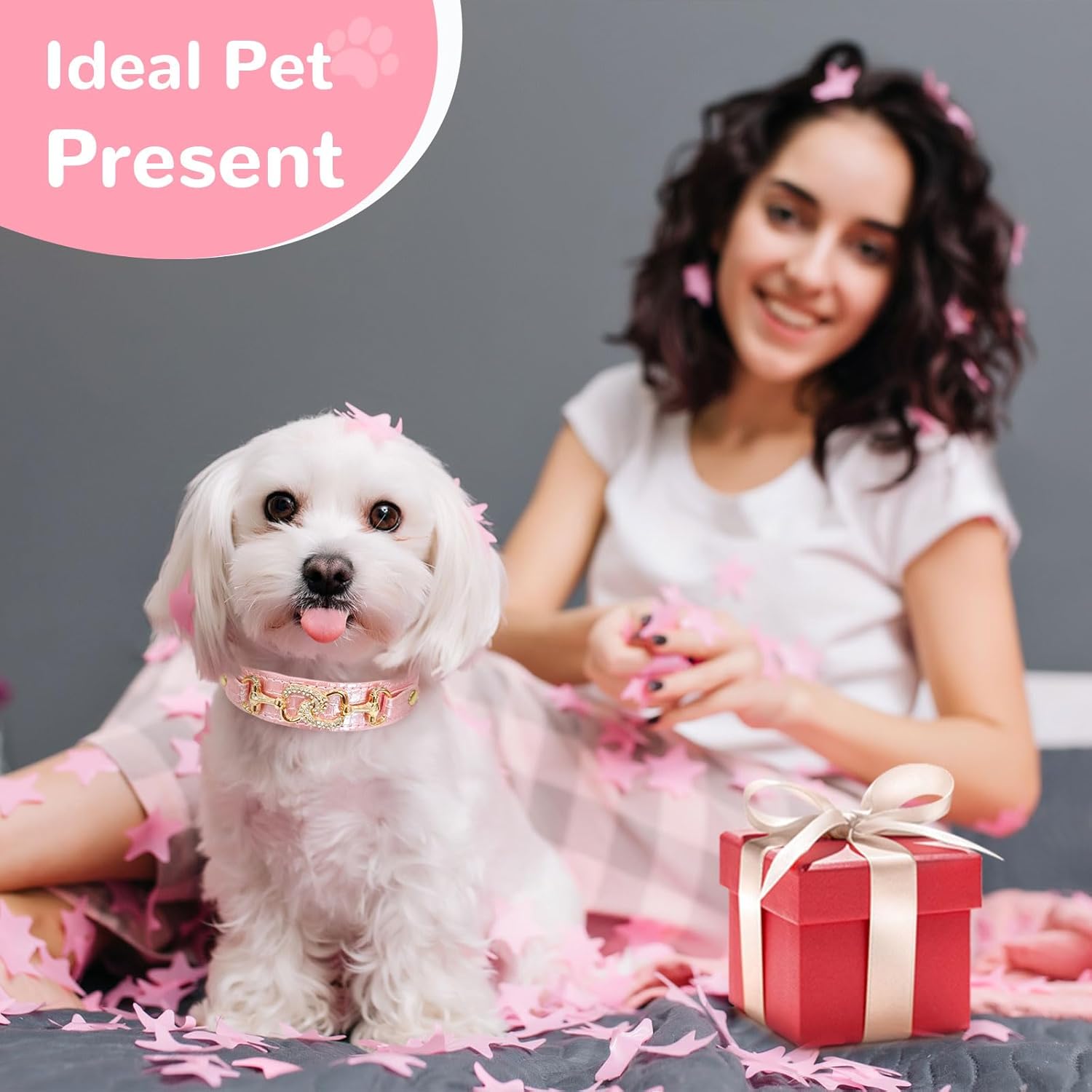 {{product_title}} - Cookies Wagging Friends Boutique