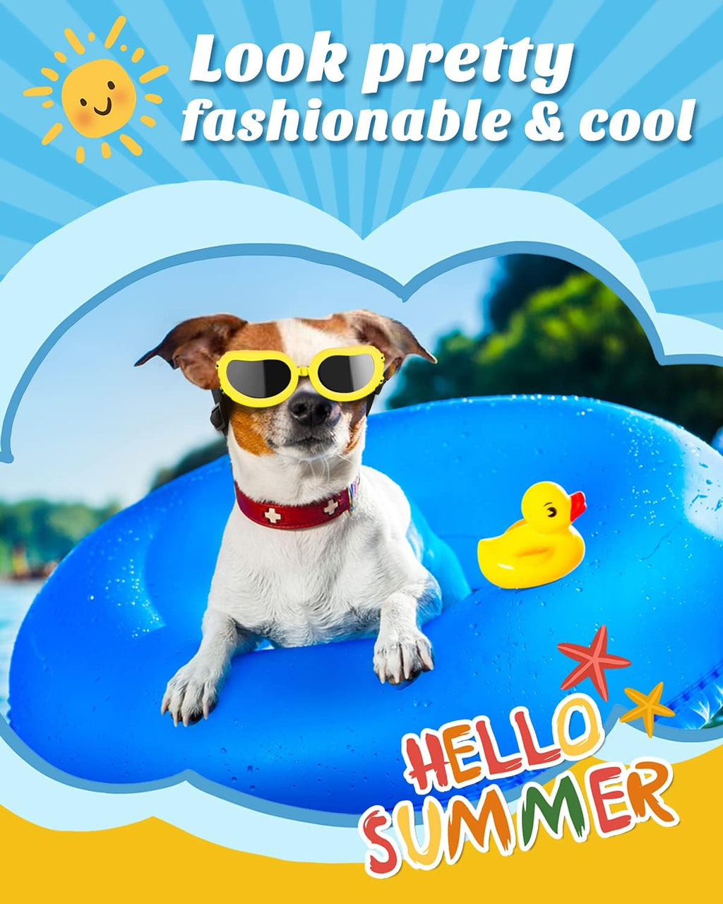 {{product_title}} - Cookies Wagging Friends Boutique