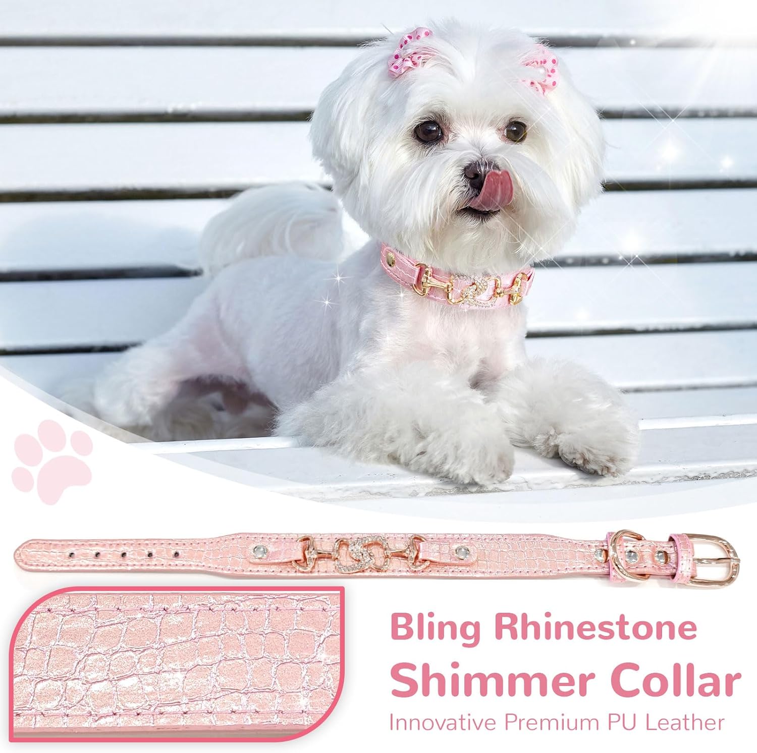 {{product_title}} - Cookies Wagging Friends Boutique