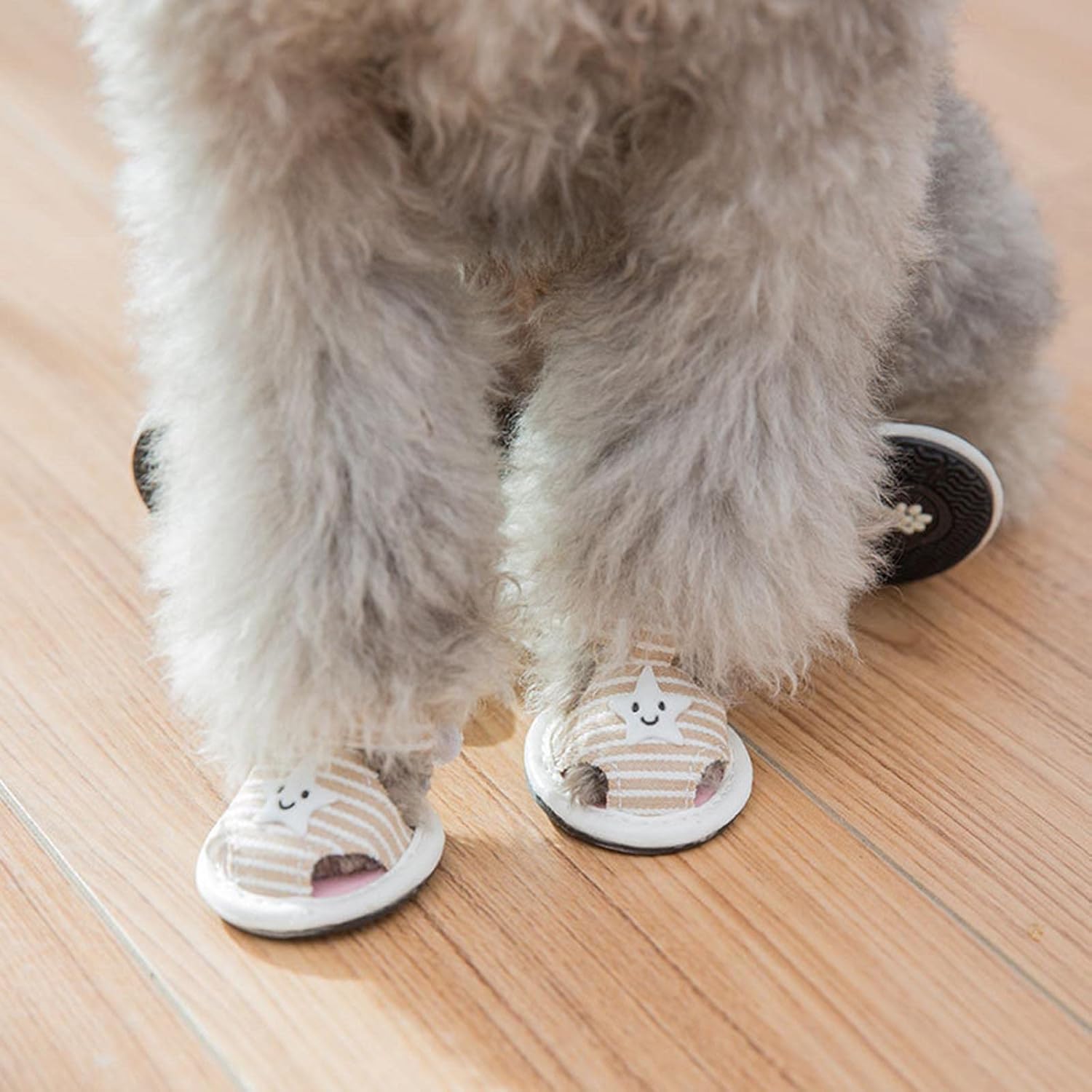 {{product_title}} - Cookies Wagging Friends Boutique