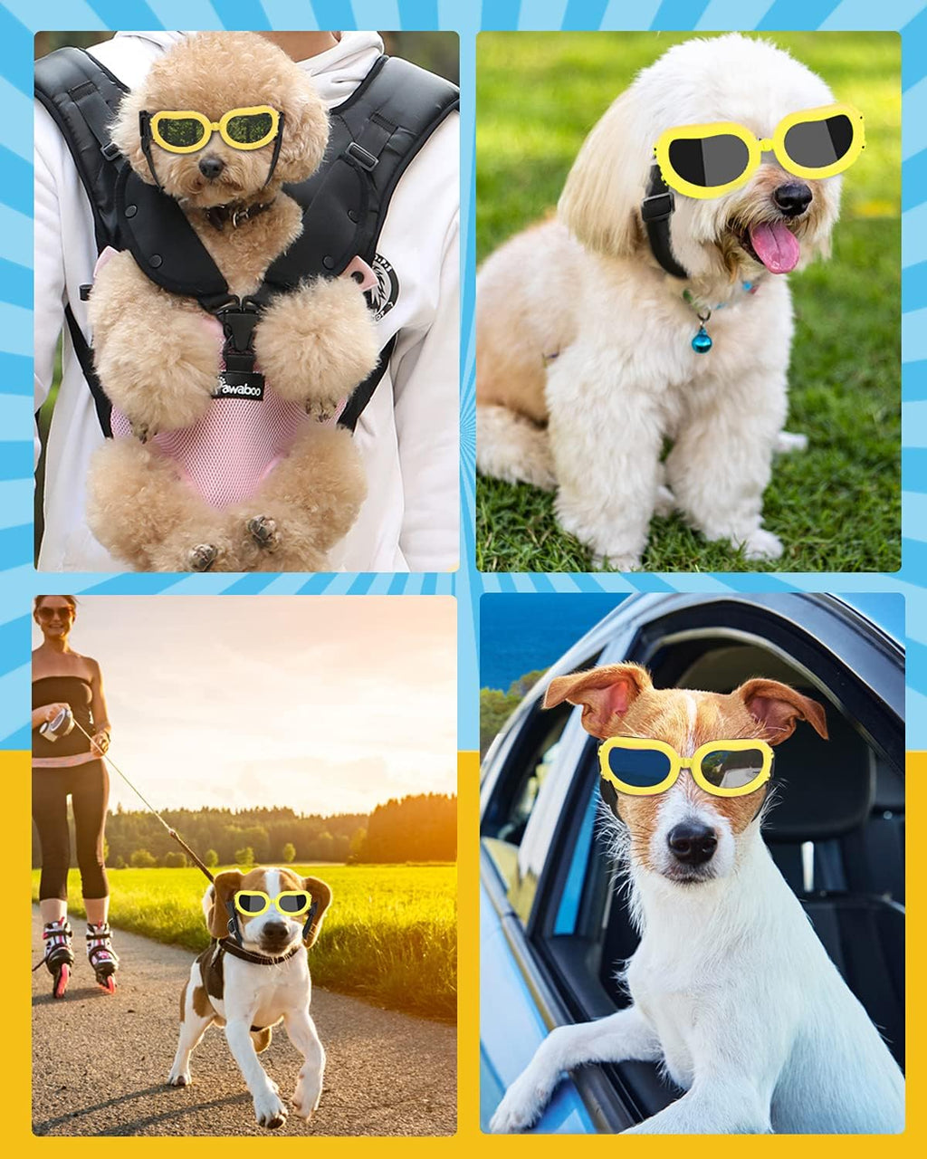 {{product_title}} - Cookies Wagging Friends Boutique