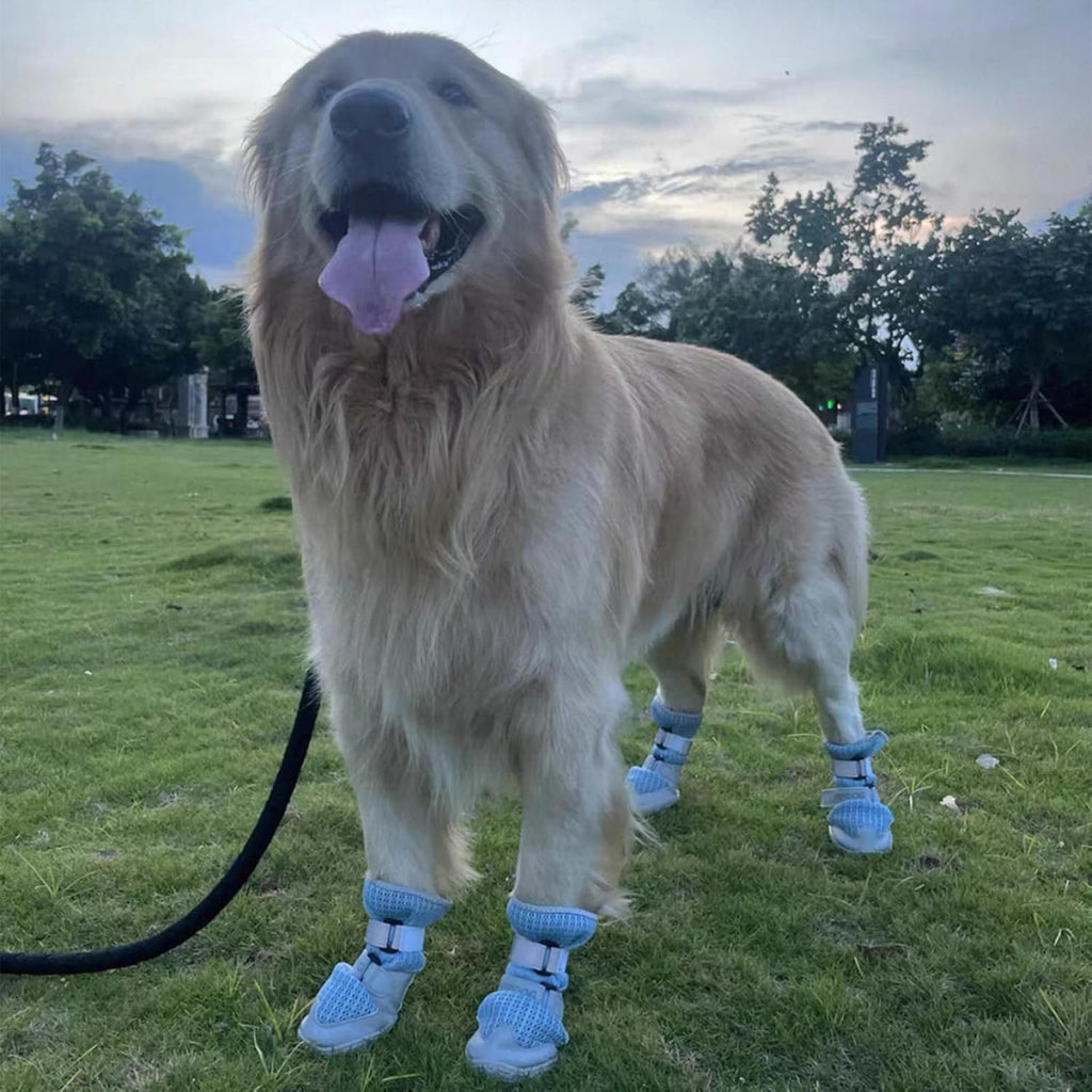 {{product_title}} - Cookies Wagging Friends Boutique