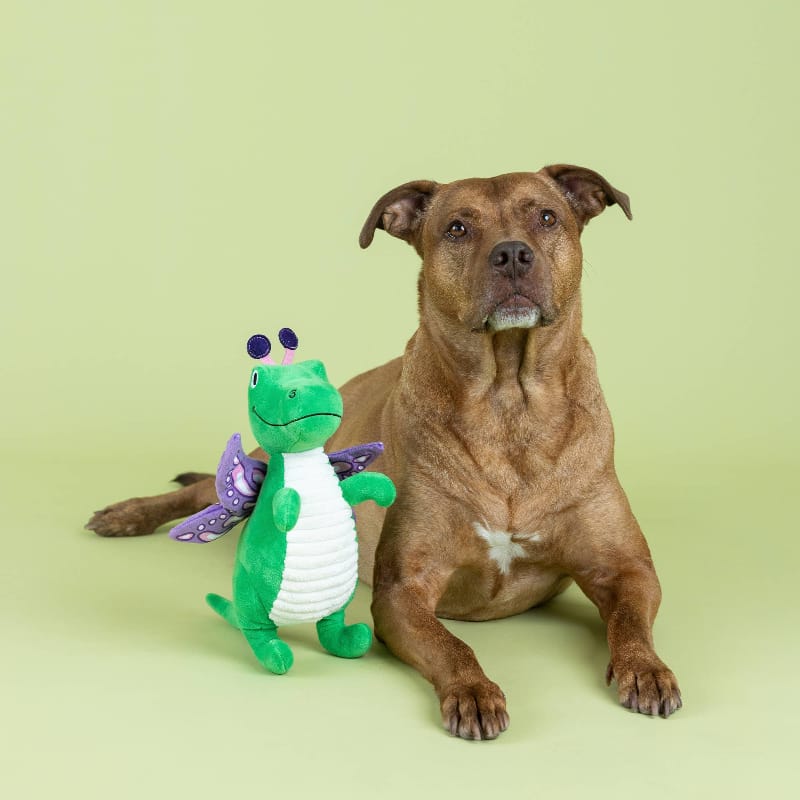 {{product_title}} - Cookies Wagging Friends Boutique