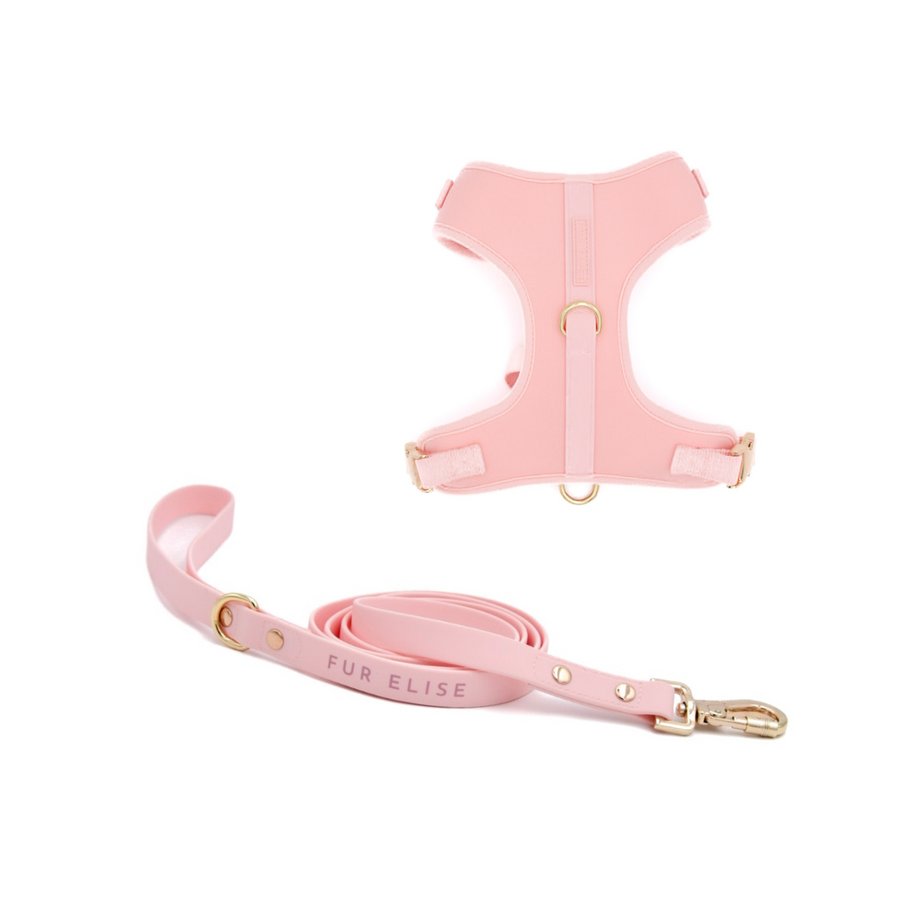 {{product_title}} - Cookies Wagging Friends Boutique