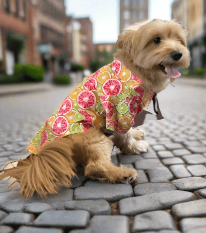 {{product_title}} - Cookies Wagging Friends Boutique