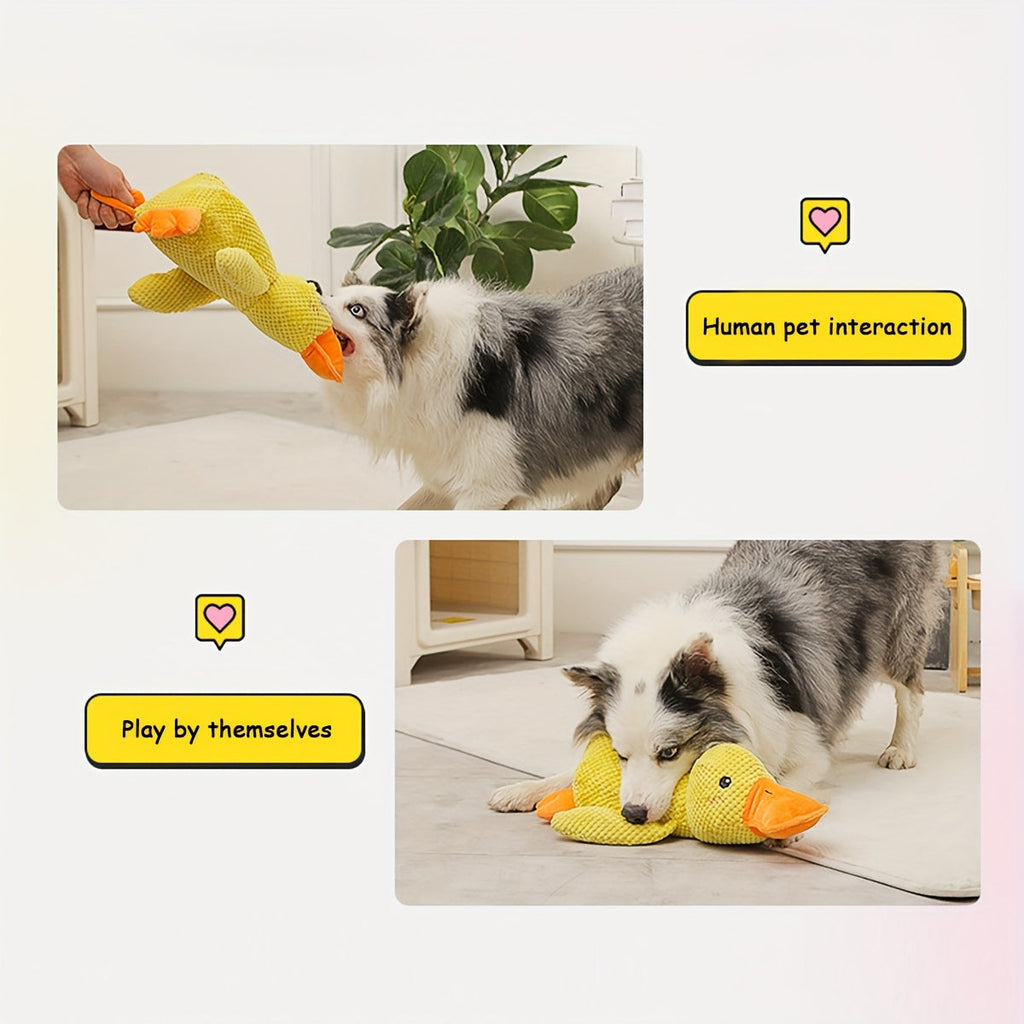 {{product_title}} - Cookies Wagging Friends Boutique