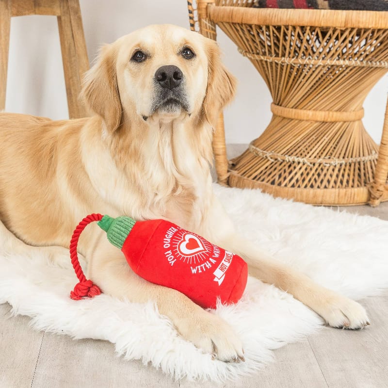 {{product_title}} - Cookies Wagging Friends Boutique