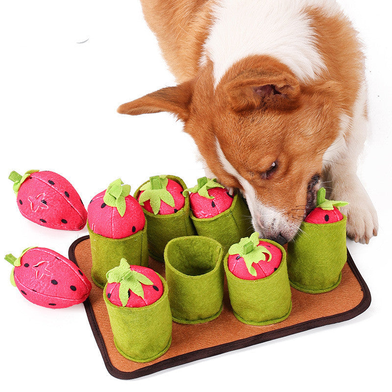 {{product_title}} - Cookies Wagging Friends Boutique