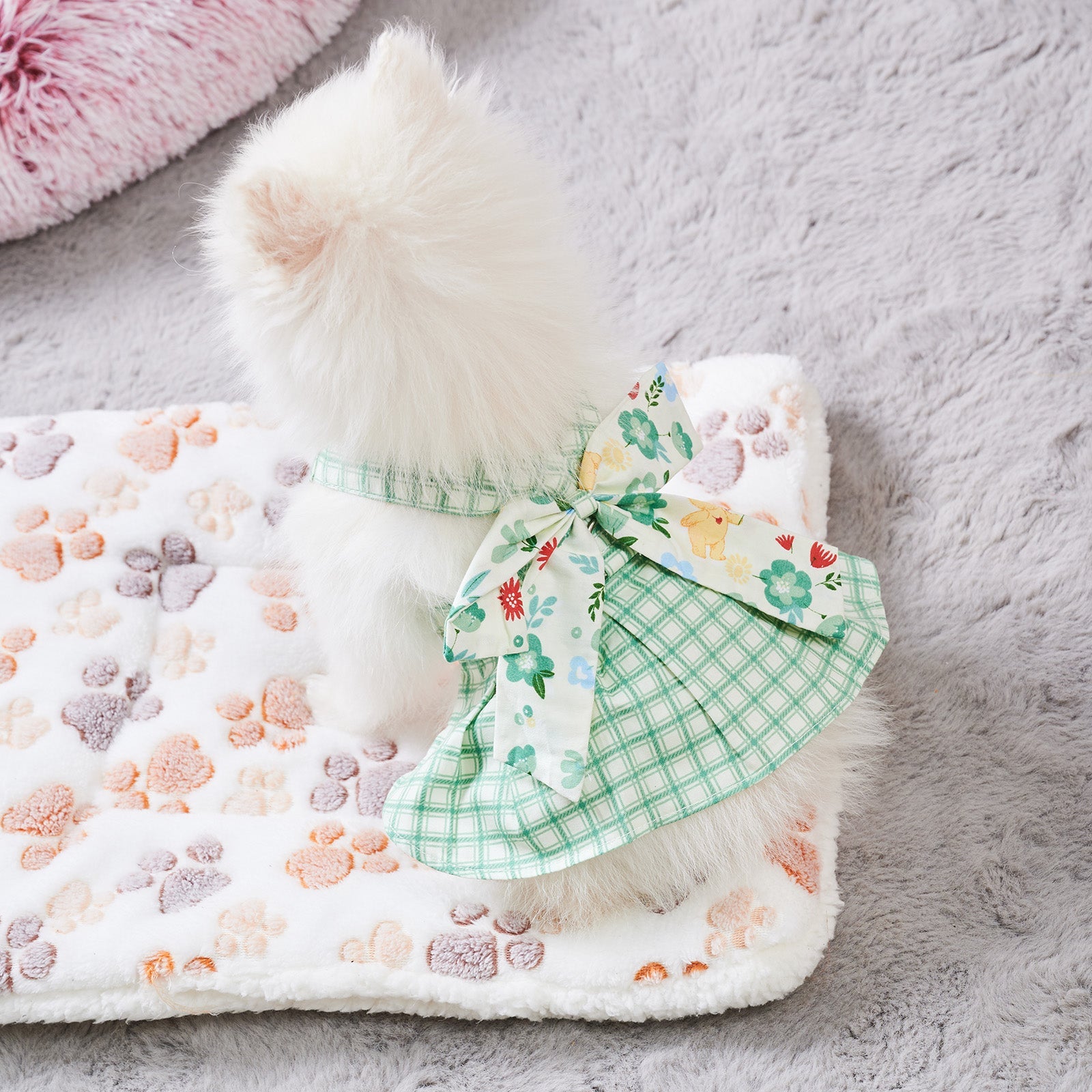 {{product_title}} - Cookies Wagging Friends Boutique