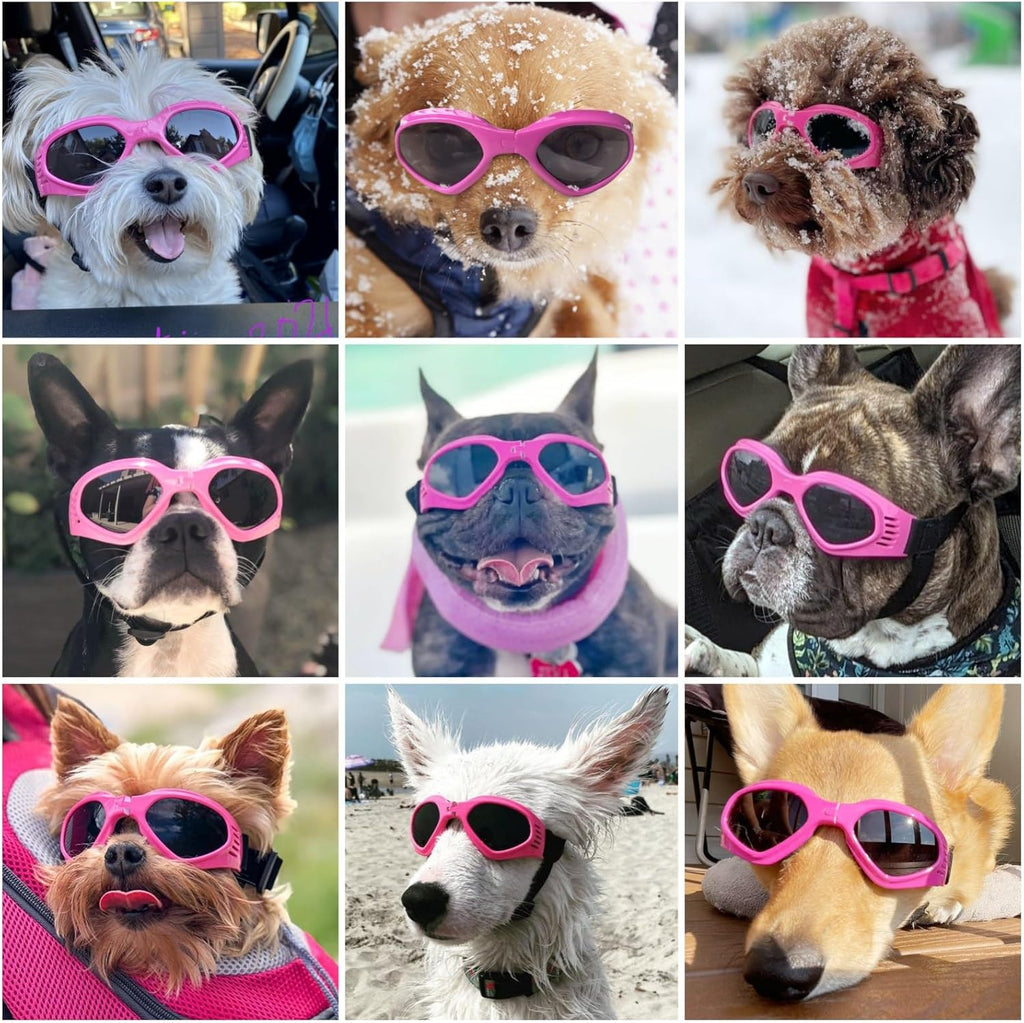 {{product_title}} - Cookies Wagging Friends Boutique