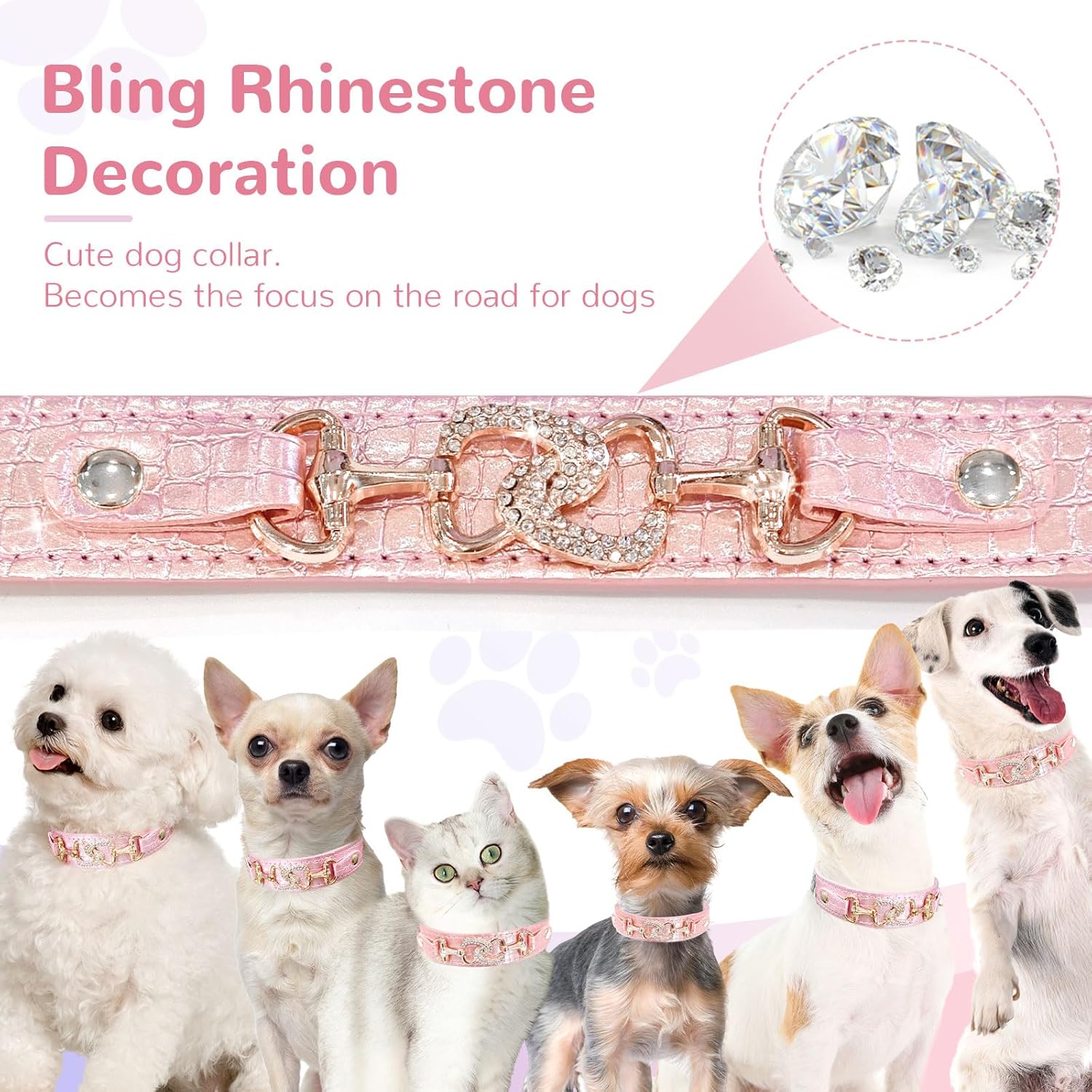 {{product_title}} - Cookies Wagging Friends Boutique