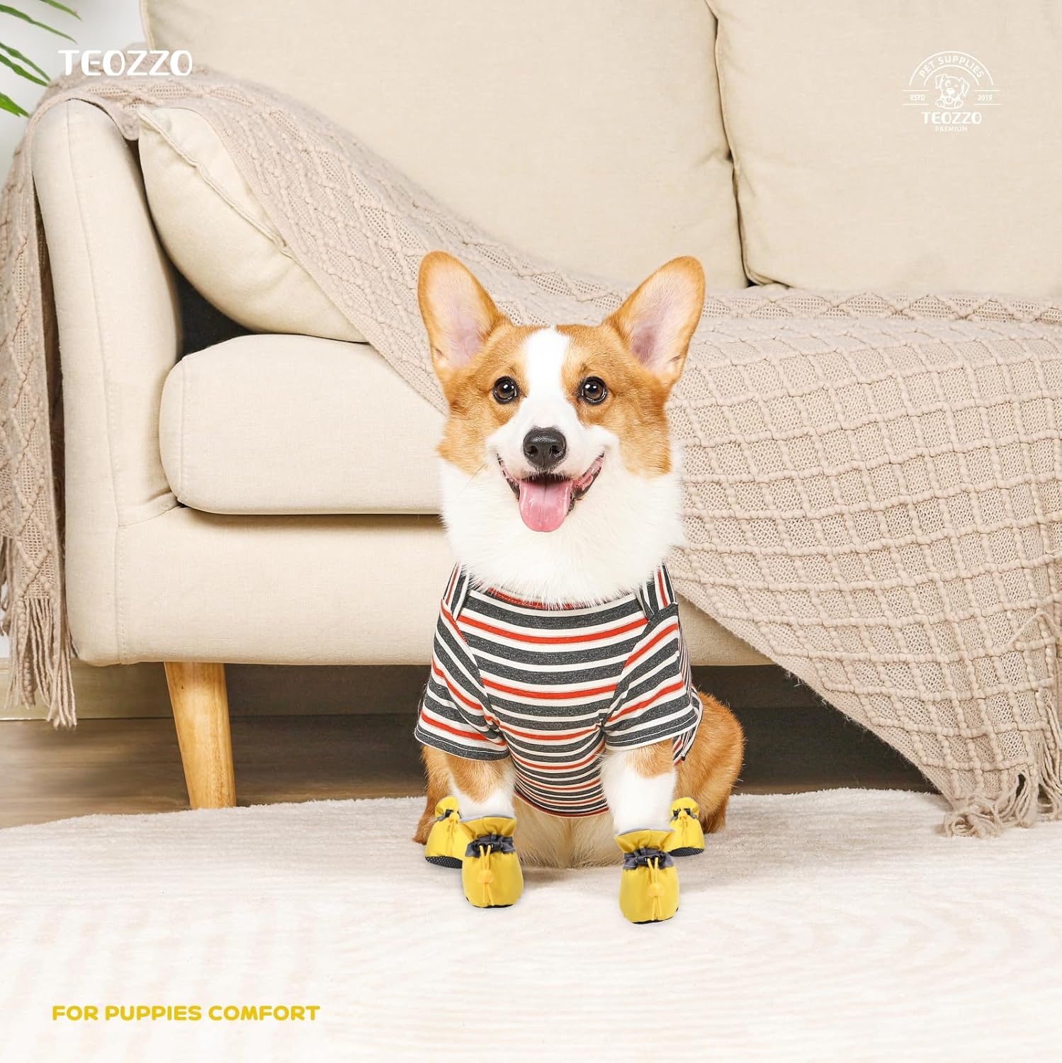 {{product_title}} - Cookies Wagging Friends Boutique