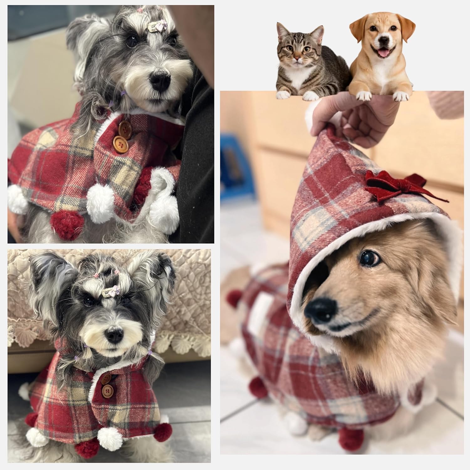 {{product_title}} - Cookies Wagging Friends Boutique
