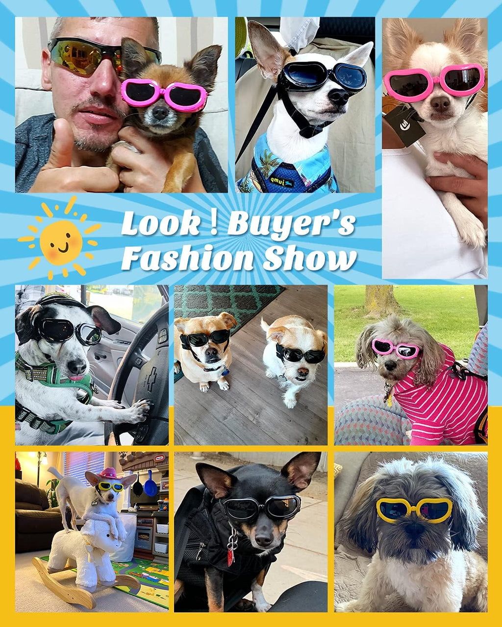 {{product_title}} - Cookies Wagging Friends Boutique