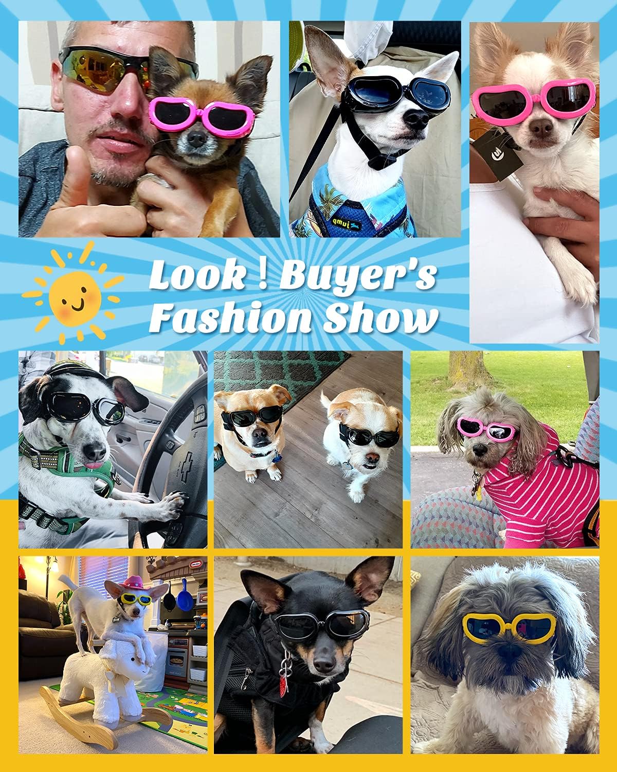 {{product_title}} - Cookies Wagging Friends Boutique