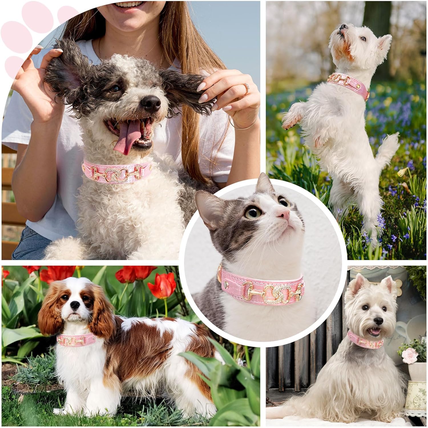 {{product_title}} - Cookies Wagging Friends Boutique