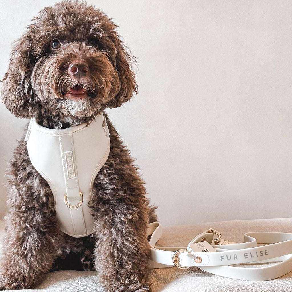 {{product_title}} - Cookies Wagging Friends Boutique