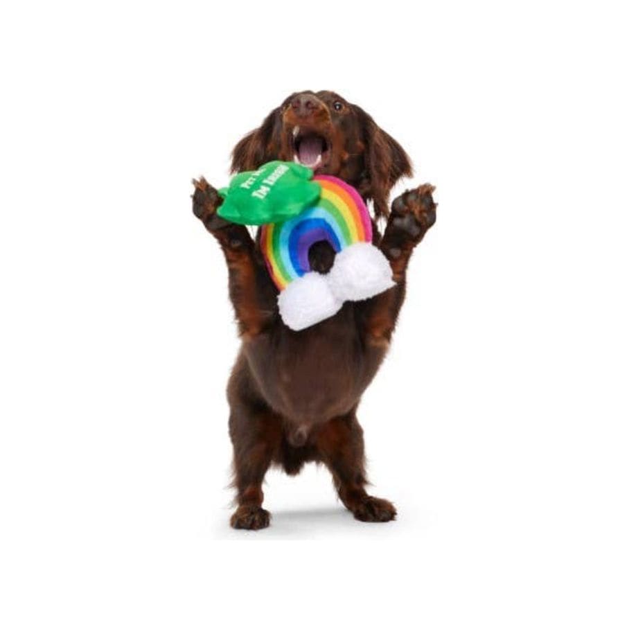 {{product_title}} - Cookies Wagging Friends Boutique