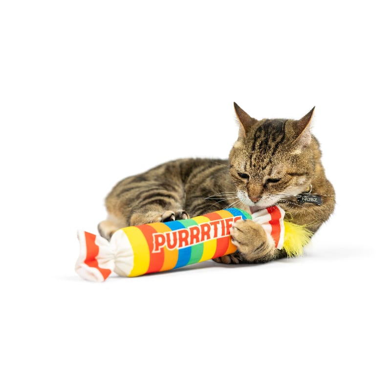 {{product_title}} - Cookies Wagging Friends Boutique