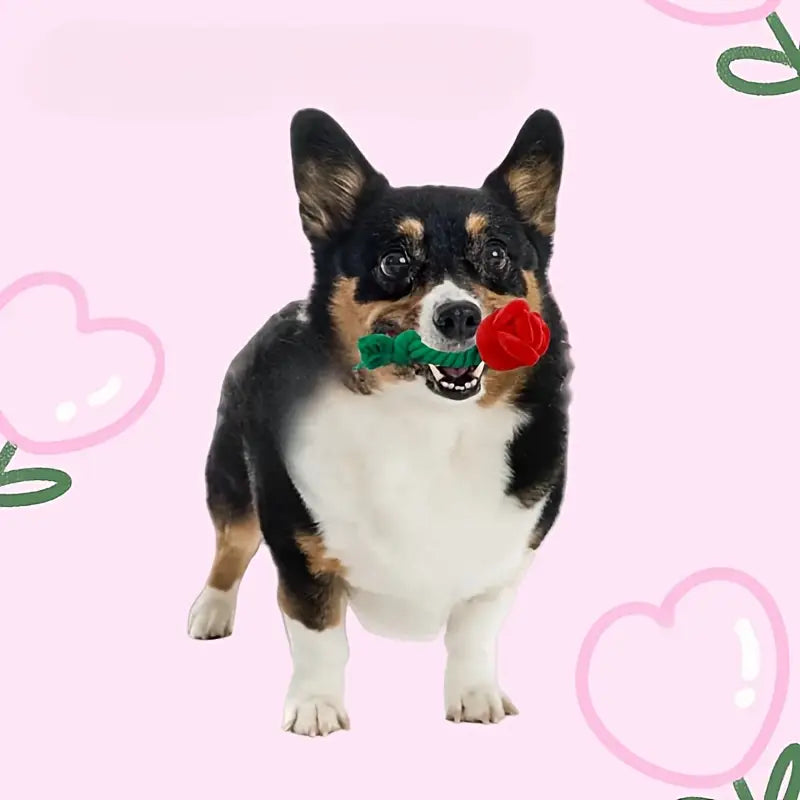 {{product_title}} - Cookies Wagging Friends Boutique