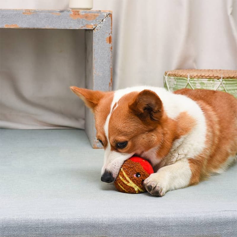 {{product_title}} - Cookies Wagging Friends Boutique