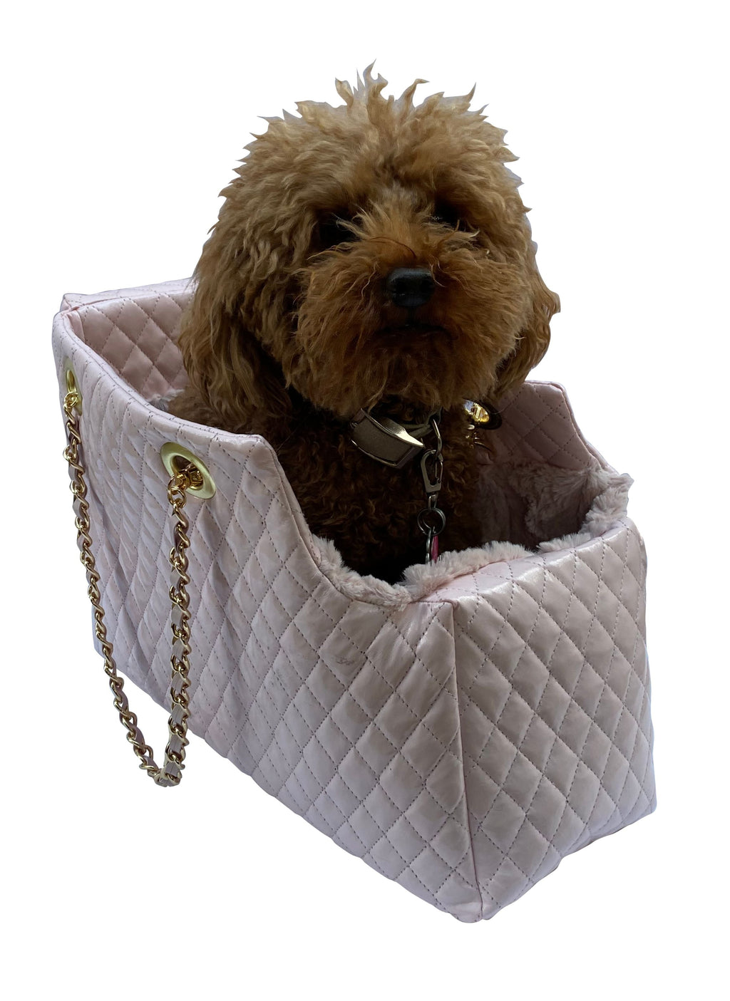 {{product_title}} - Cookies Wagging Friends Boutique